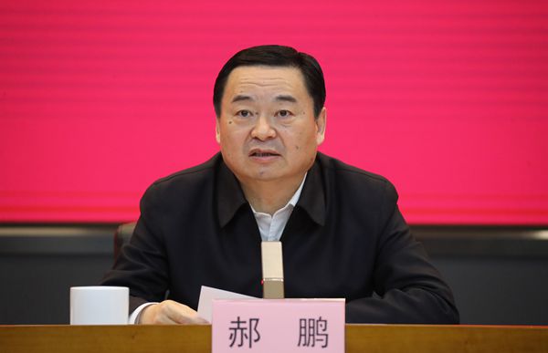郝鵬、國資、央企、國資委、書記、主任、國企、企業(yè)改革
